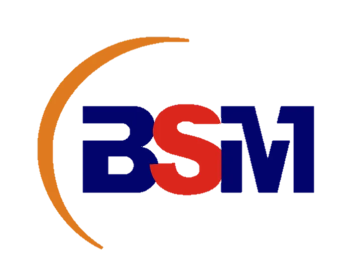 BSM Logo